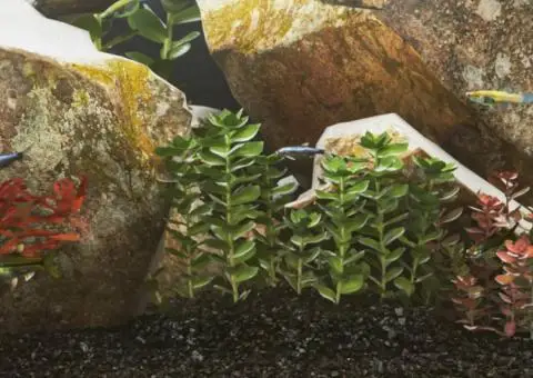 Nisip de acvariu, 10 kg, negru, 0,2-2 mm - 1/5