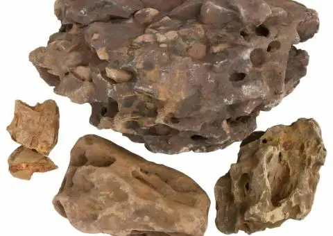 Pietre dragon, 10 kg, gri, 10-40 cm - 4/5