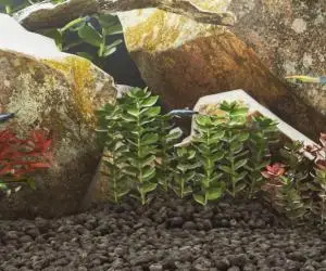 vidaXL Roci vulcanice, 10 kg, negru, 3-5 cm