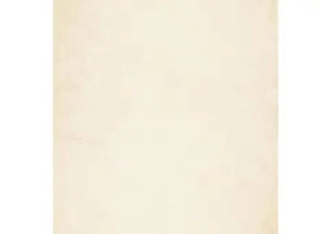 Covor HUARTE, fir scurt, moale și lavabil, crem, 140x200 cm - 2/5