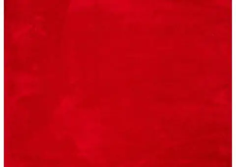 Covor HUARTE, fir scurt, moale și lavabil, roșu, 200x200 cm - 2/5