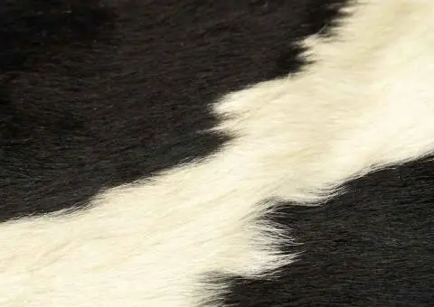 Covor, alb și negru, 180x220 cm, piele naturală de vacă - 3/5