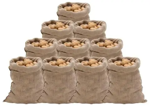 Saci de iută, 10 buc., 60x105 cm, iută 100%, 220 g/m² - 1/5