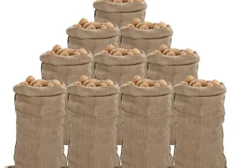 Saci de iută, 10 buc., 65x135 cm, iută 100%, 340 g/m² - 1/5