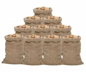 vidaXL Saci de iută, 10 buc., 60x105 cm, iută 100%, 340 g/m²