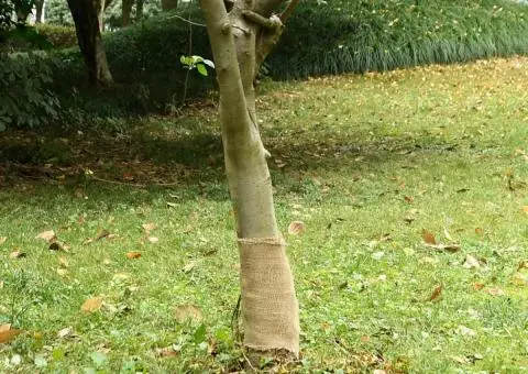 Rulou de iută, 0,25x10 m, iută 100%, 200 g/m² - 1/5