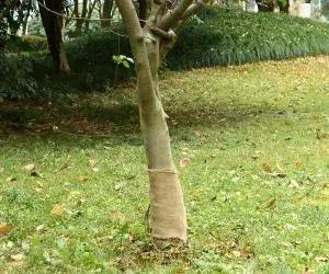 vidaXL Rulou de iută, 0,25x10 m, iută 100%, 200 g/m²