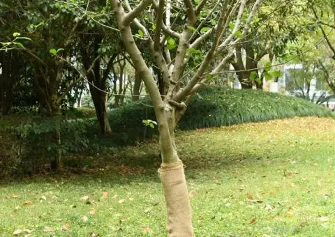 Rulou de iută, 0,5x50 m, iută 100%, 200 g/m² - 1/5