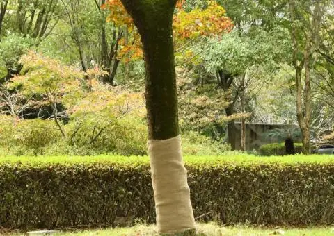 Rulou de iută, 1x15 m, iută 100%, 200 g/m² - 1/5