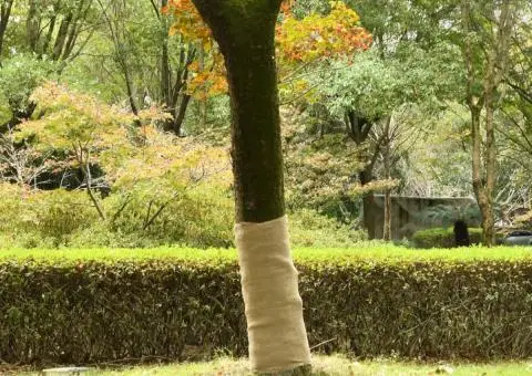 Rulou de iută, 1x5 m, iută 100%, 200 g/m² - 1/5