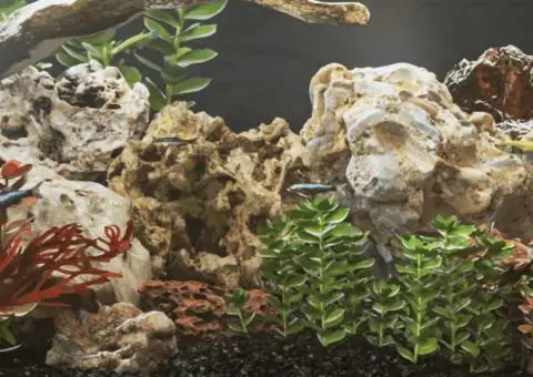 Pietre dragon, 10 kg, gri, 10-40 cm - 1/5