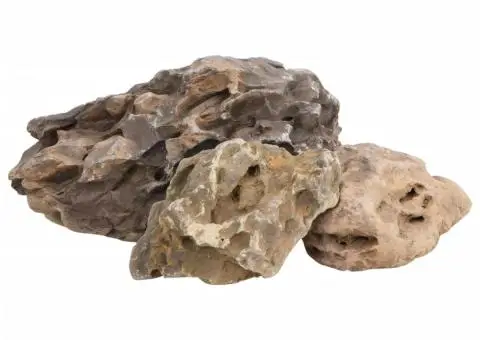 Pietre dragon, 10 kg, gri, 10-40 cm - 3/5