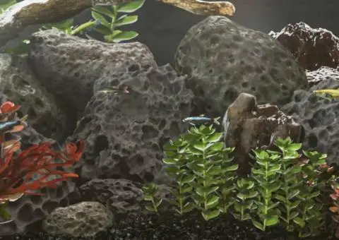 Roci vulcanice, 25 kg, negru, 10-30 cm - 1/5