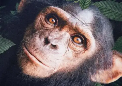 Bluzon pentru copii, kaki, 140 - 4/5