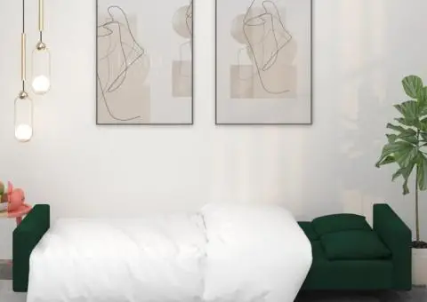 Canapea extensibilă cu 2 locuri, 2 perne, verde închis catifea - 3/5