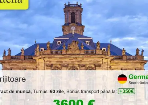 Ingrijitor batrani Germania