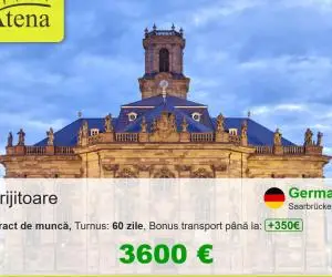 Ingrijitor batrani Germania