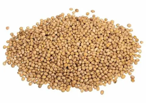 Pietre de cireș pentru pernă de căldură 5 kg - 4/5