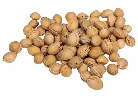 Pietre de cireș pentru pernă de căldură 5 kg - 5/5