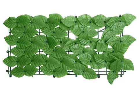 Paravan de balcon, frunze verzi, 600x75 cm - 2/5