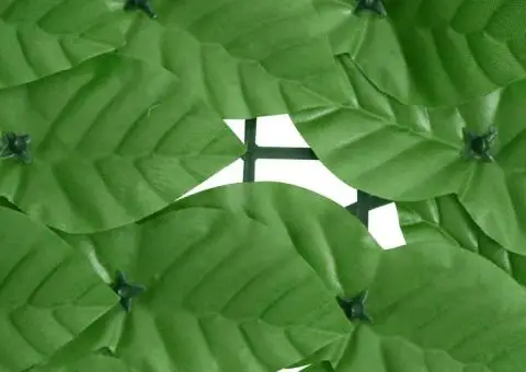 Paravan de balcon, frunze verzi, 600x75 cm - 4/5