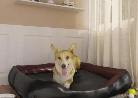 Pat pentru câini, negru și maro 105x80x25 cm piele ecologică - 1/5