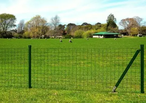 Euro gard, verde, 25 x 1,5 m, oțel - 1/4