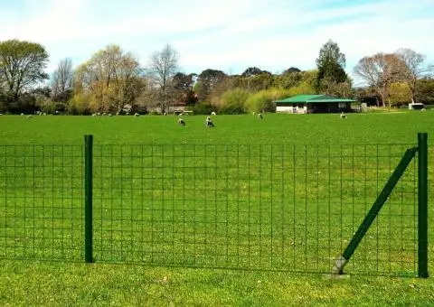 Euro gard, verde, 25 x 1,0 m, oțel - 1/4