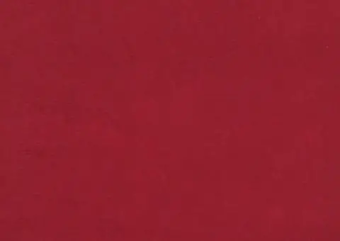 Scaun cu picioare din lemn, roșu vin, catifea - 4/5