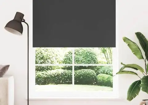 Jaluzea opacă rulabilă, 160 x 230 cm, negru - 1/5