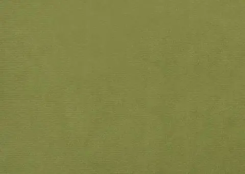 Scaun cu picioare din lemn, verde deschis, catifea - 4/5