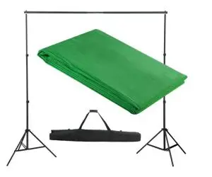 vidaXL Sistem de suport fundal, 300 x 300 cm, verde
