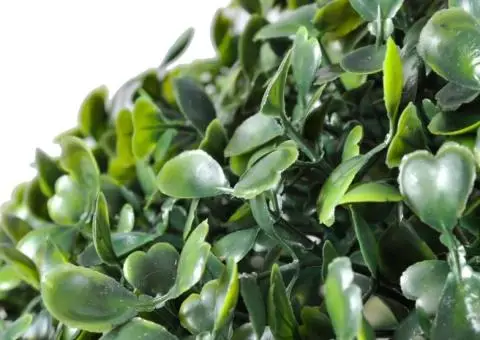 Arbuști ornamentali artificiali bilă pe tulpină,  2 buc., 27 cm - 3/3