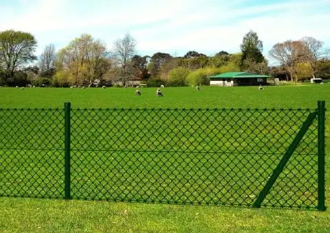 Gard de legătură din plasă cu stâlpi/țăruși, 1,25x25 m, oțel - 2/5