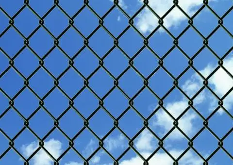 Gard de legătură din plasă cu stâlpi/țăruși, 1,25x25 m, oțel - 3/5