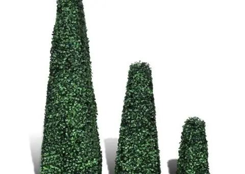 Set arbuști ornamentali artificiali piramidă pe tulpină, 3 buc. - 2/4