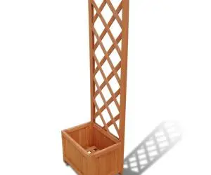 Spalier cu mască ghiveci 40 x 30 x 135 cm