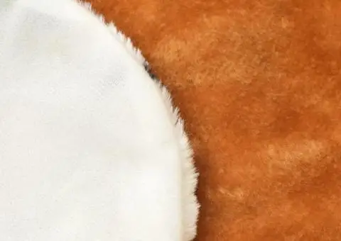 Covor cu model leu 205 cm Pluș Maro - 3/4