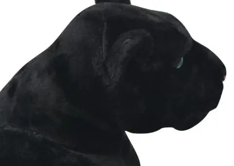 Panteră de jucărie din pluș, negru, XXL - 4/5