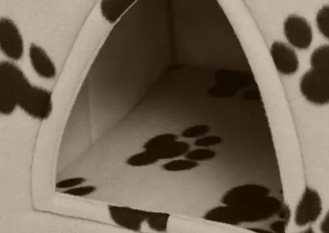 Pat pentru pisici, bej, mărime L - 4/5