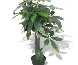 vidaXL Plantă artificială Arborele norocos cu ghiveci, 85 cm, verde