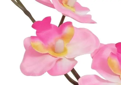 Plantă artificială orhidee cu ghiveci, 30 cm, roz - 2/2