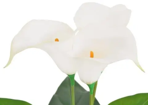 Floare de cală crin artificială cu ghiveci, 45 cm, alb - 2/2