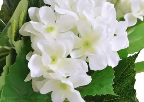 Plantă artificială Hydrangea cu ghiveci, 60 cm, alb - 2/3
