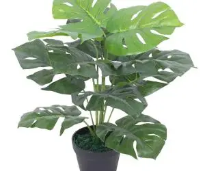vidaXL Plantă artificială Monstera cu ghiveci, 45 cm, verde