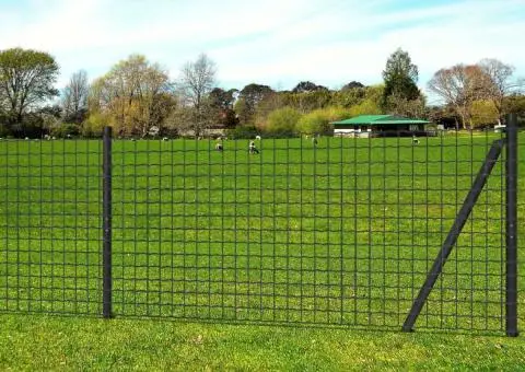 Euro gard, gri, 25 x 1,2 m, oțel - 2/3