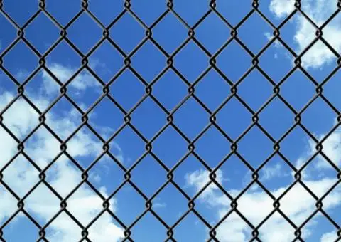 Gard plasă de sârmă, gri, 25 x 0,8 m, oțel - 3/3