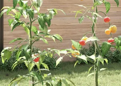 Spirale pentru suport plante, 50 buc, 110 cm, oțel galvanizat - 4/5