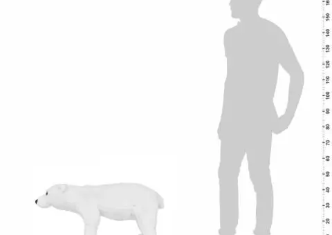 Urs polar din pluș de jucărie în picioare, alb, XXL - 5/5