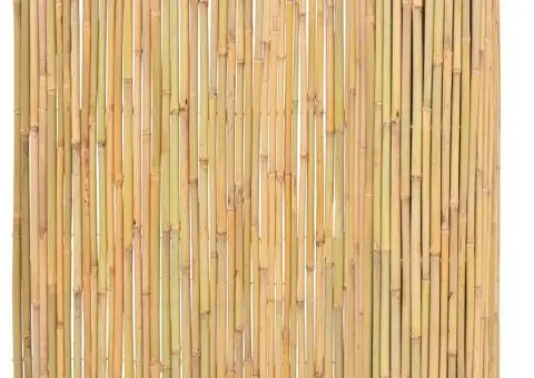 Gard din bambus, 300 x 100 cm - 2/5